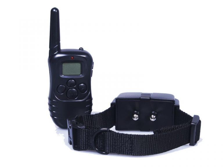 Les différents types de colliers électriques : on vous en parle